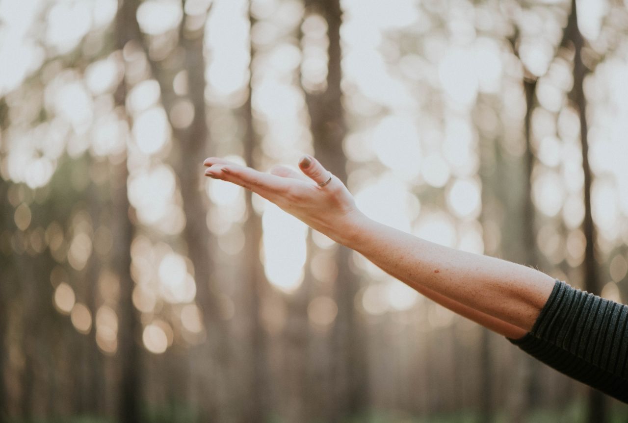 Un bras tendu tourné vers le ciel, main ouverte, dans une forêt.